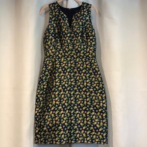 I. Crew ⚓️ Dress